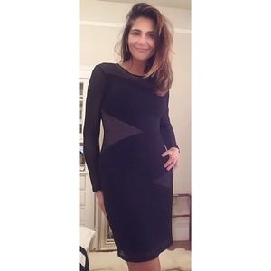 🤩 HOT! BCBG "Tanya" Netted pencil dress